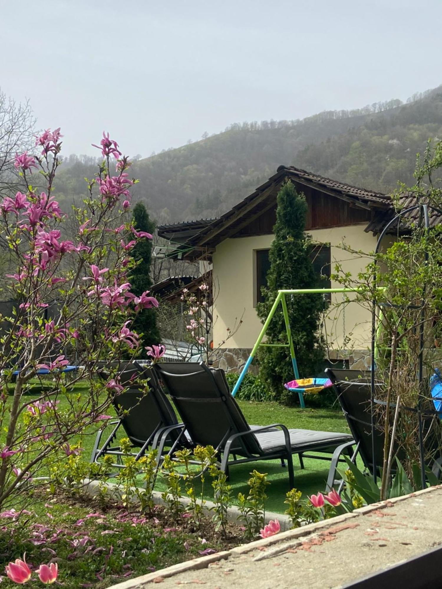 Guest House Rest Cherni Osum Esterno foto